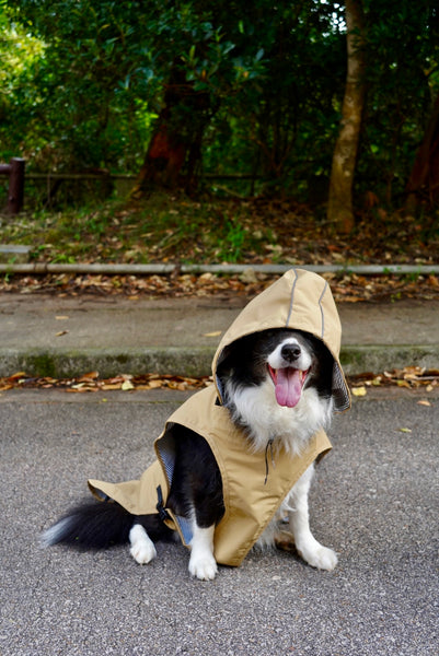 85C57FB7-53D5-4F71-A74B-